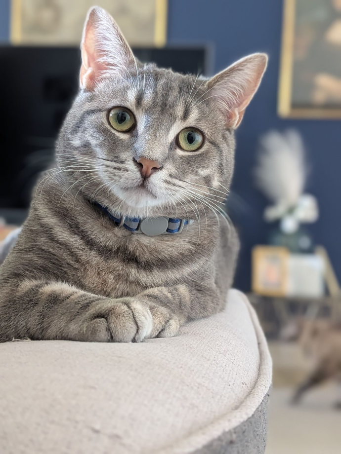 Photo de présentation de Blue 