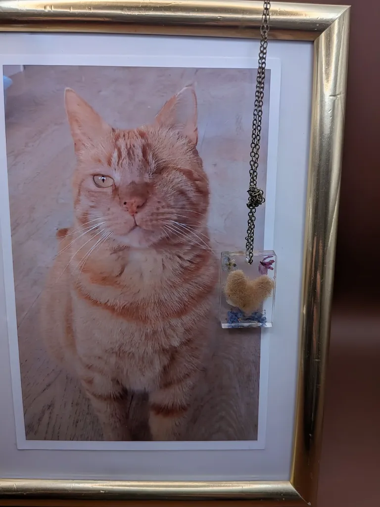 Photo Hiver + Porte clè mémoriel.webp